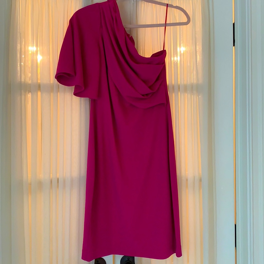 Belle Badgley Mischka  Fushia Dress